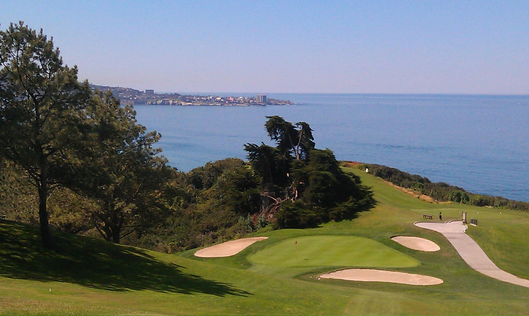 Torrey Pines- picture by Laura Borja- not for public use