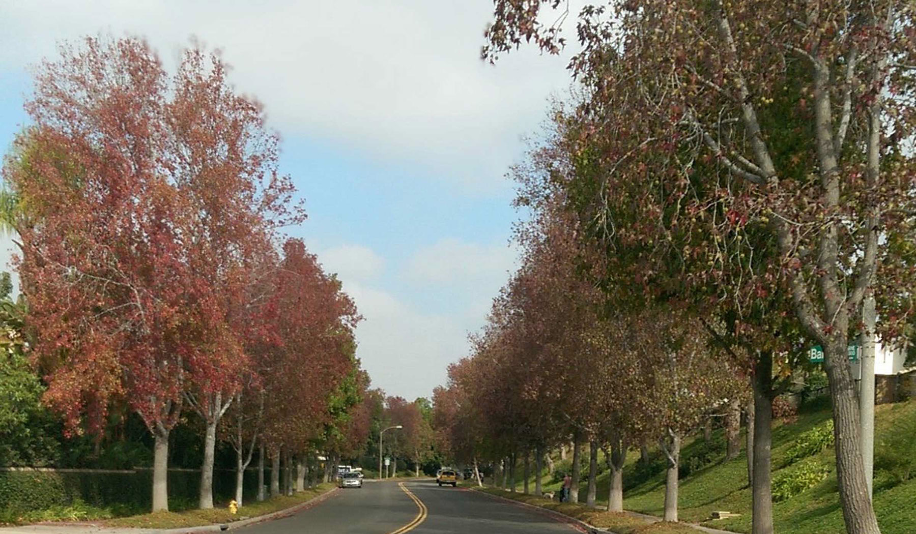 Carmel Valley Neighborhood -